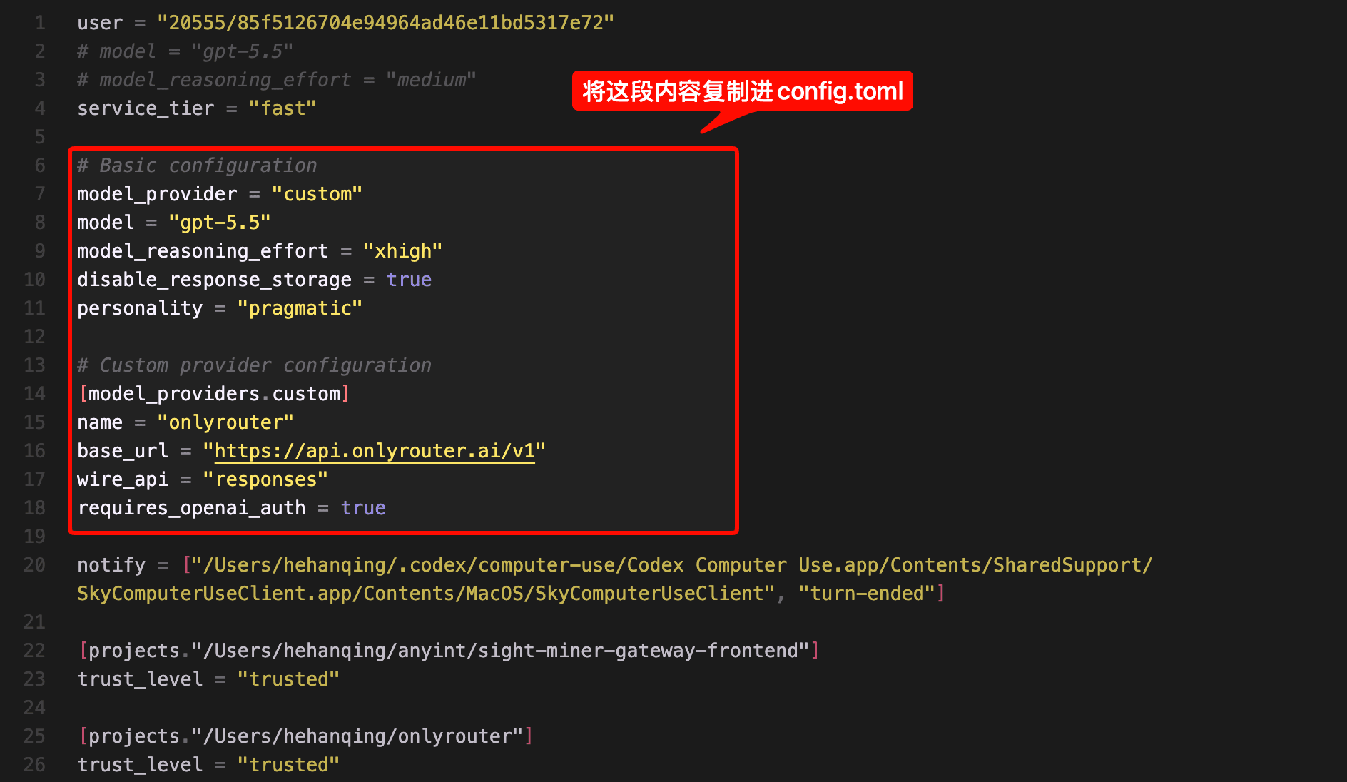 Paste the OnlyRouter provider configuration into Codex config.toml