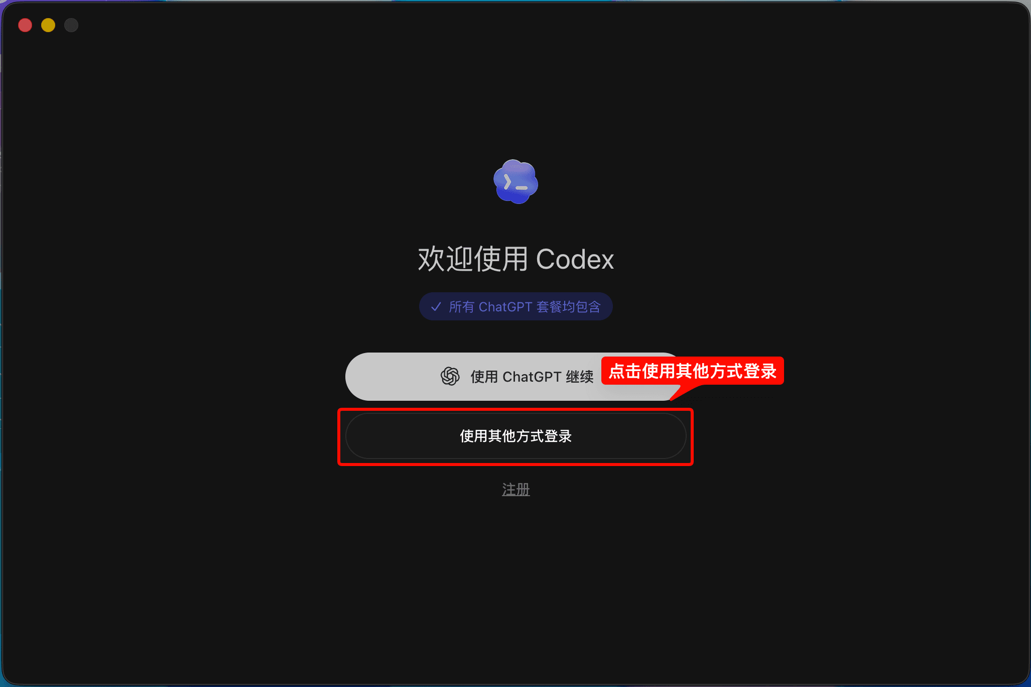 Choose another sign-in method on the Codex sign-in page